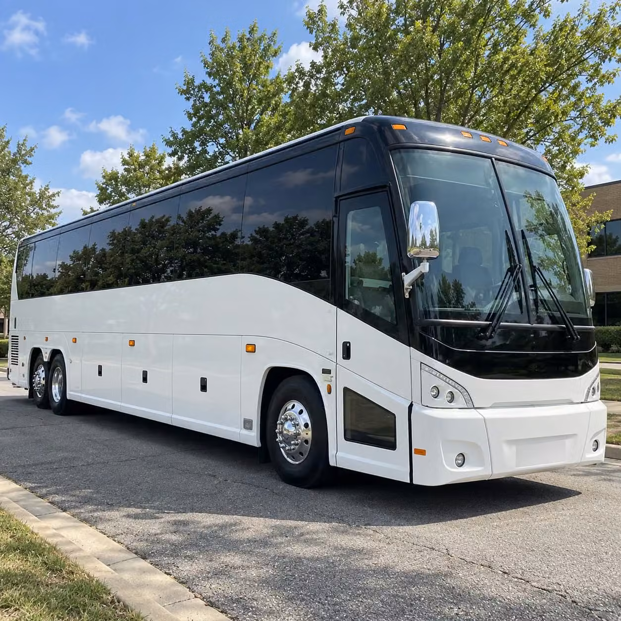 56 passenger charter bus